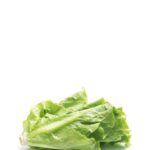 Women Ministry product13 free img.jpg